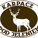 Apartament Pod Jeleniem